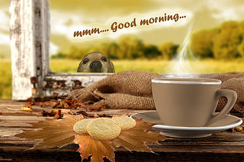 *Mmm...Good morning*, dog, bisquits, good morning, hot, hq, cup, drinks, day, leaves, cafe, face, coffee, autumn, funny HD wallpaper
