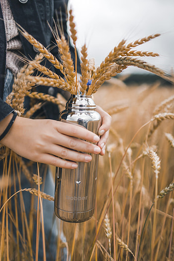 Grass, Miscellanea, Miscellaneous, Hands, Ears, Fingers, Spikes HD phone wallpaper