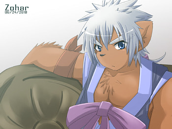 furry, white, zohar, white hair, zoharwolf, cat HD wallpaper