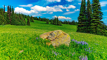 Green Trees Small Plants Stone Slope Under White Clouds Blue Sky During Daytime Nature HD wallpaper