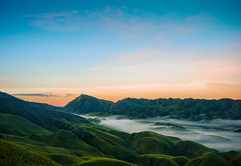 Dzukou valley, India, nature, mist HD wallpaper