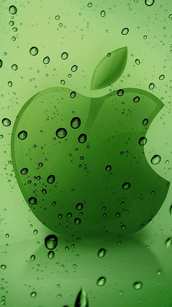 Whatsapp, , green theme HD phone wallpaper