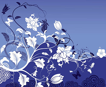 NATURE BACKGROUND, blue, background, white, nature HD wallpaper