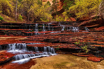 Water cascades in autumn forest, fall, trees, waterfall, autumn, beautiful, rocks, forest, foliage HD wallpaper