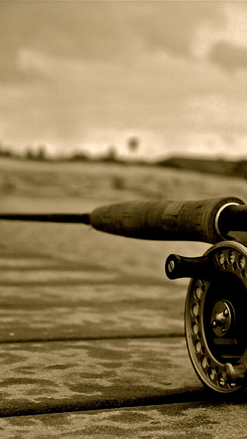 Fly fishing sport, Trout fishing, background, Natural beauty HD phone wallpaper