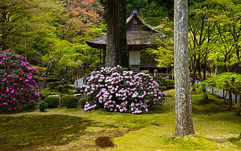 Traditional japanese house in park, house, garden, trees, grass, bush, flowers, park, beautiful, Japan, cottage HD wallpaper