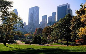 Landscape, Cities, Trees HD wallpaper