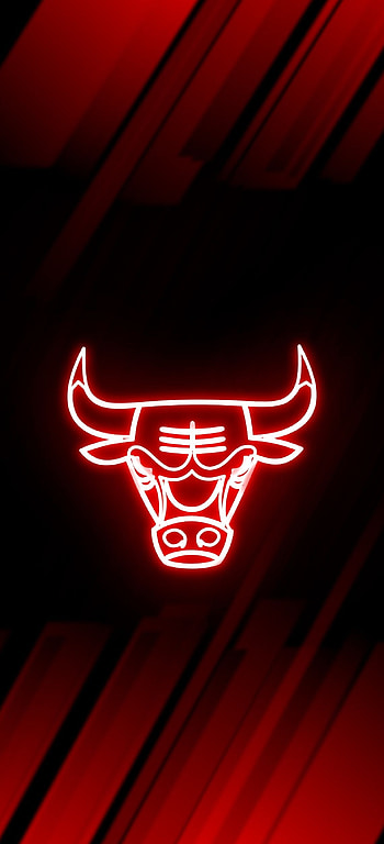 Chicago Bulls, Sports team, , Neon HD phone wallpaper