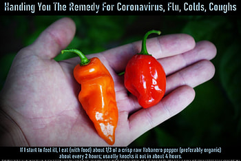 Handing You The Remedy For Coronavirus, Flu, Colds, Coughs, natural, fitness, flu, home remedies, faith, pandemic, chills, hot peppers, coughs, fever, quarantine, coronavirus, healing, sweats, sick, hope, sniffles, retired, miracle, COVID-19, supernatural, hand, colds, religious, bronchitus, seniors, love, wisdom, sinusitus, spiritual, peace, habanero, illness, well-being HD wallpaper