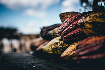 Nestl launches cocoa pulp, Sweetened chocolate, Europe HD wallpaper