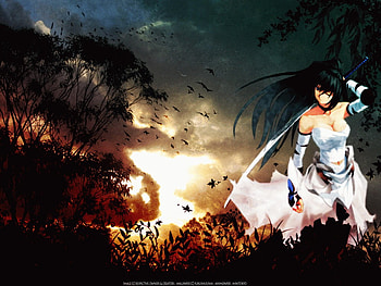 girlsxswordssunset, sexy, birds, sword, sunsets, other, anime, trees, girls, warrior, cloud HD wallpaper