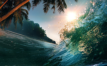 Water splashes, palm tree, sea waves, tide, nature HD wallpaper