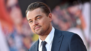 Leonardo DiCaprio, Celebrity actor, , Celebrity status HD wallpaper