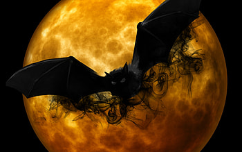 Halloween, Bats HD wallpaper