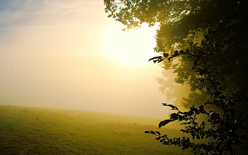 Landscape, Fields HD wallpaper