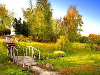 Nature walk, walk, nice, stairs, foels, trees, greenery, autumn, pleasant, steps, meadow, beautiful, grass, summer, pretty, green, bridge, nature, sky, lovely HD wallpaper