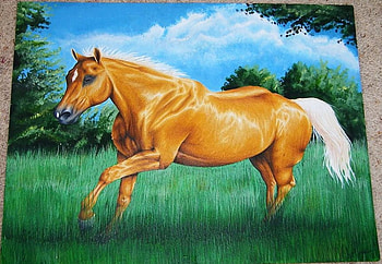 Horse, animal, , run, grass HD wallpaper