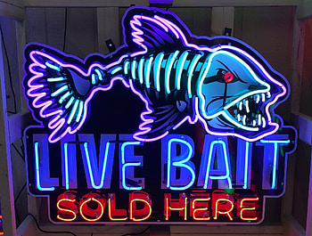 Live bait sign, here, live, 3D, bait, fish, sold, fishing, sport, signs, neon, hobbies HD wallpaper