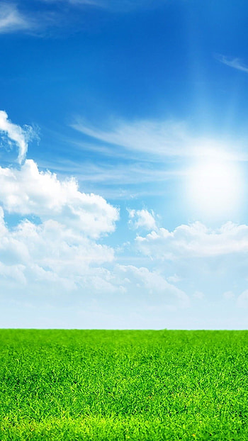 Nature green land, Blue sky, 6 Plus , Android HD phone wallpaper