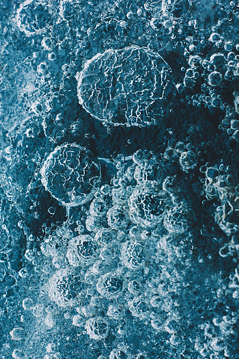 Bubbles, Macro, Liquid HD phone wallpaper
