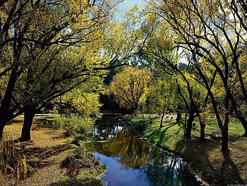 Nature, Trees, Lake, Shore, Forest, Shores, Australia HD wallpaper