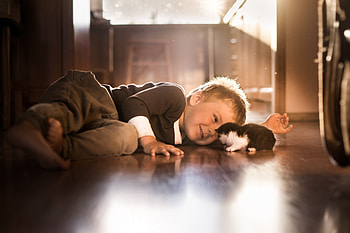 Cute Friend, animal, cat, boy, child HD wallpaper