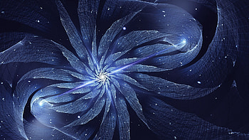Abstract, Flower, Fractal, Rotation HD wallpaper
