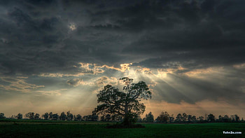 3D Art Nature, 3d art, nature HD wallpaper