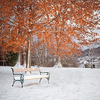 A serene snow-covered park bench under autumnal trees in Gmunden, Austria. HD phone wallpaper