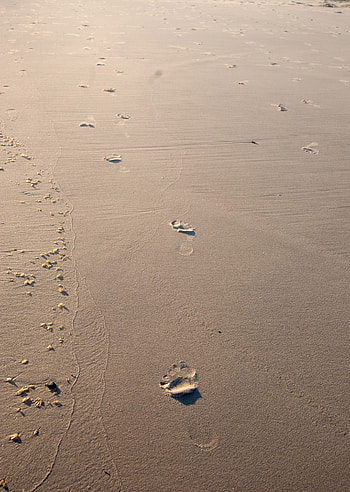 Footprints in the sand HD phone wallpaper