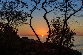 Nature, Sunset, Sea, Sun, Horizon, Branches, Setting HD wallpaper