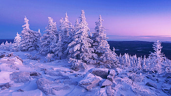 Blue hour in the mountains, snow, winter, colors, trees, landscape, sky HD wallpaper