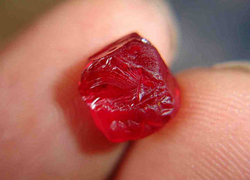 Precious Gem Ruby, how wants it, precious, ruby HD wallpaper
