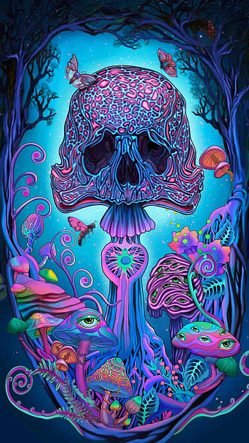 Skull mushrooms, magenta, art HD phone wallpaper