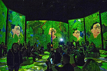 Frida Kahlo Immersive Art Exhibition Mexico City, Frida Kahlo HD wallpaper