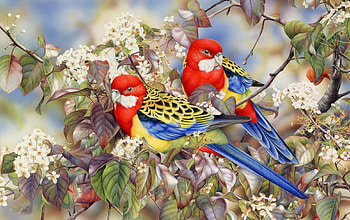 Parrots in the Spring, birds, painting, parrots, blossoms HD wallpaper