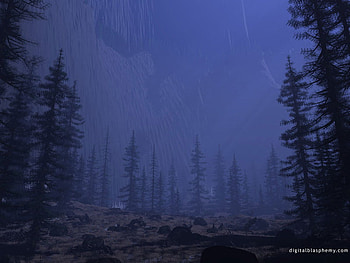 Raining in Rain Forest, night, nature, rain, forest HD wallpaper