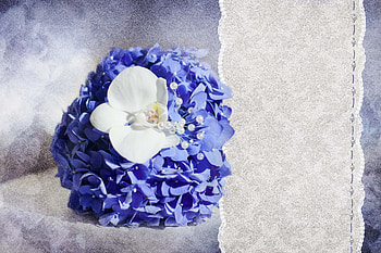 Flowers, Patterns, Miscellanea, Miscellaneous, Postcard HD wallpaper