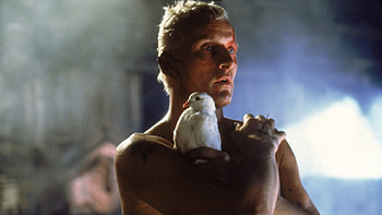 Rutger Hauer, Iconic actor, Haunting presence, Dutch heritage HD wallpaper