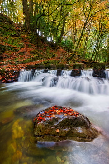 Tranquil waterfall surrounded by fall foliage in Tollymore Forest Park, perfect for nature . HD phone wallpaper