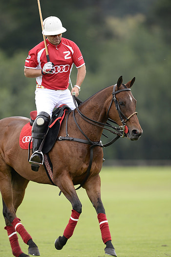 Nacho Gonzalez, Horse Polo HD phone wallpaper