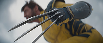 Deadpool & Wolverine Movie : Claws of Fury in Stunning Detail, movie, Deadpool & Wolverine HD wallpaper