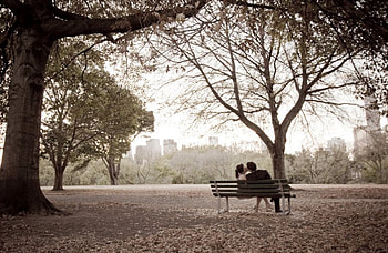 Couple, leaves, love, autumn, people HD wallpaper