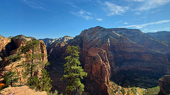Taken on the top of the Angel's landing trail in Zion National Park, utah, landscape, trees, sky, rocks, mountains, usa HD wallpaper
