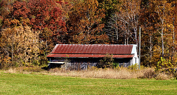 Fall Barn, fall, graphy, barn HD wallpaper
