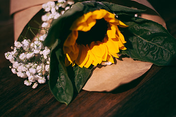 Flowers, Bouquet, Composition, Sunflower HD wallpaper