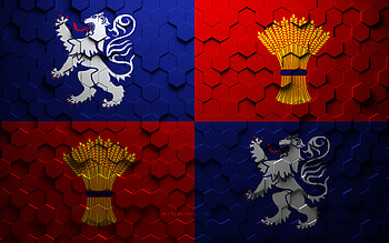 Flag of Guyenne, honeycomb art, Guyenne hexagons flag, Guyenne 3d hexagons art, Guyenne flag HD wallpaper