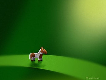 Micro Horse, horse, animals HD wallpaper