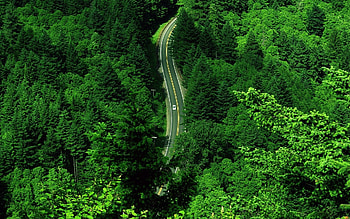 Landscape, Trees, Roads HD wallpaper