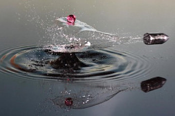 Bullett skip, bullett, skipping, water HD wallpaper